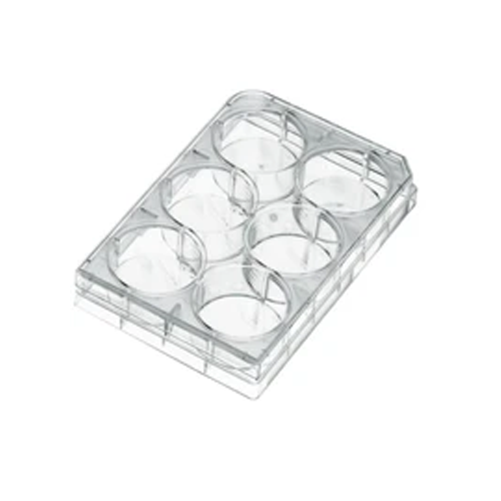 Đĩa petri nhựa nuôi cấy tế bào nhiều vị trí – Biologix